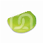 ORTHODONTIE DOZEN IN HALVE C (10)