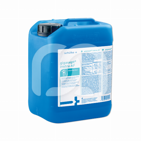 GIGASEPT INTRU AF (5L)