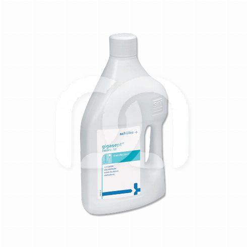 GIGASEPT INSTRU AF (2L)