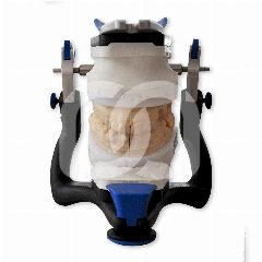ARTICULATEUR ARTEX CN