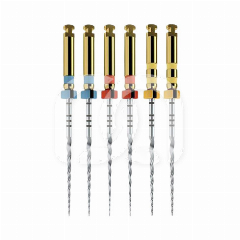 PROTAPER NEXT ASSORTIMENT X1-X3 (6)