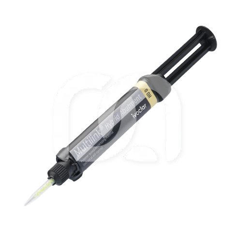 MULTILINK HYBRID ABUTMENT (9G)