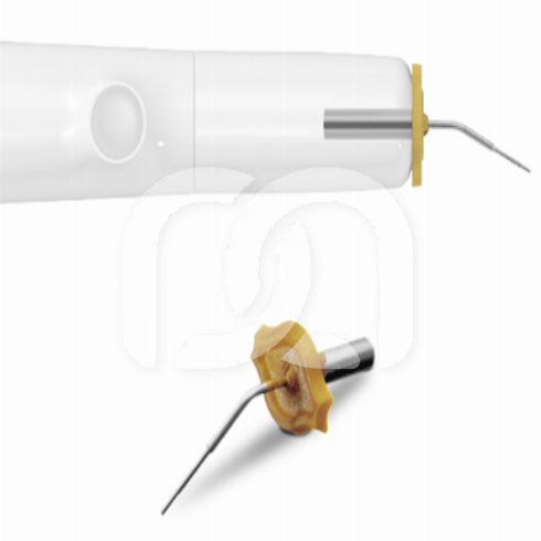 GUTTA PERCHA CARTRIDGE
