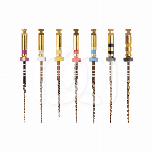 PROTAPER GOLD™ ASSORTIMENT (6)
