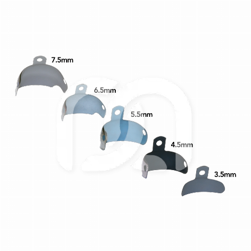 PALODENT V3 REFILL MATRIX EZ COAT (50)