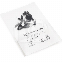 AIGUILLES APPLICATION COMPOSITE FINES - LE SACHET DE 20 AIGUILLES