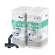 HARMONIZE - CAPSULES (20X0.25G) : TEINTE:A1 ÉMAIL