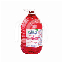 PARO-EX MONDSPOELMIDDEL (5L)