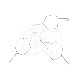 METALEN LIGATUREN (100) : LENGTE:20 MM, INCH-DIAMETER:0,30 MM