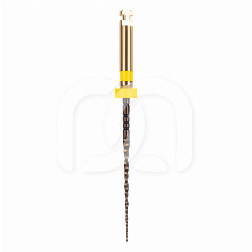 EASY-FILE FLEX STERIEL (6)