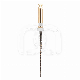 EASY-FILE FLEX STERIEL (6)