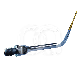 SCALERTIP SCORPION BEM
