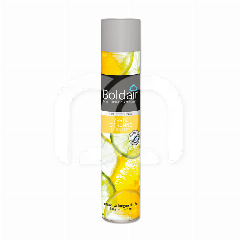 DÉSODORISANT BOLDAIR (500ML)