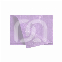SERVIETTES PLASTIFIÉES DRY-BACK (100)