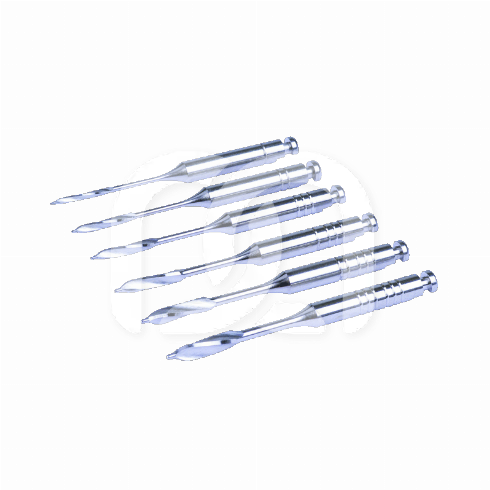 FORETS GATES - LA BOITE DE 6 FORETS - 28 MM