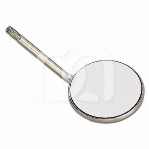 RHODIUM SPIEGELS ACTUAL  (12)