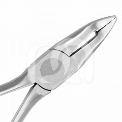 PINCE DE WEINGART STANDARD