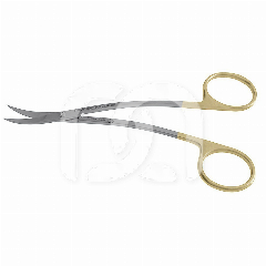 SCHAAR - LAGRANGE PROGONT HOLLINGER SCHAAR - LAGRANGE PROGONT HOLLINGER