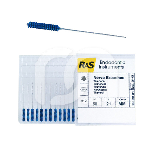 ZENUWNAALDEN (12) ZENUWNAALDEN (12)