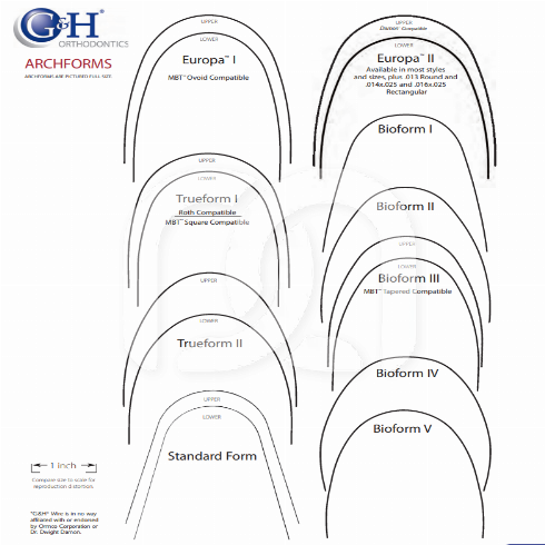 M5 HEATERS THERMAL NITI ARCHWIRES ZONDER VERGRENDELING - 25 STUKS