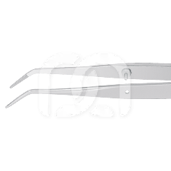 PRECELLE N°17 - 45°