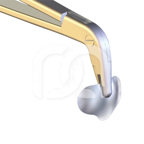 MYQUICKMATRIX FORCEPS MYQUICKMATRIX FORCEPS