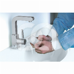 BORSTELS NEX D1 DRY (40) BORSTELS NEX D1 DRY (40)