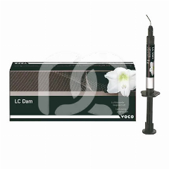 LC DAM - SERINGUES (2)