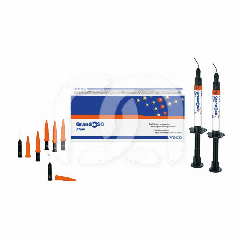 GRANDIOSO FLOW - LES 16 CAPSULES DE 0,25 G