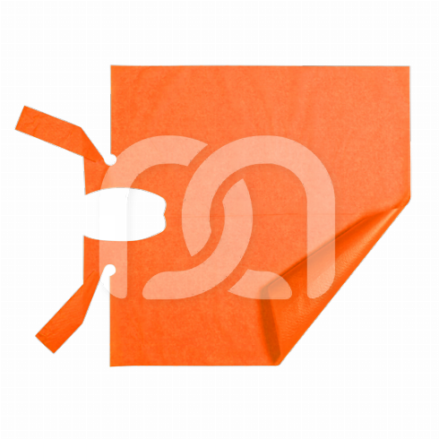 PATIËNTENSCHORTEN VAN GEPLASTIFICEERD PAPIER (80) PATIËNTENSCHORTEN VAN GEPLASTIFICEERD PAPIER (80)