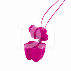 FAIRY-BOX (50) - ROSE