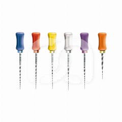 PROTAPER UNIVERSAL - HAND VIJLEN ASSORTIMENT (6) PROTAPER UNIVERSAL - HAND VIJLEN ASSORTIMENT (6)