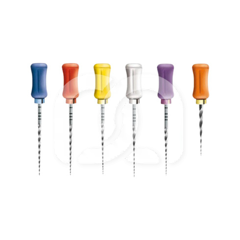 Handvijlen ProTaper Universal Assortiment (6)