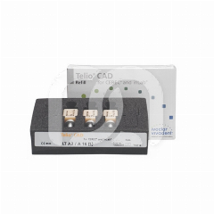 TELIO CAD CER / INLAB LT ABUTMENT A B TINTEN (3)