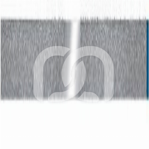 STRIPS MÉTALLIQUES (10) STRIPS MÉTALLIQUES (10)