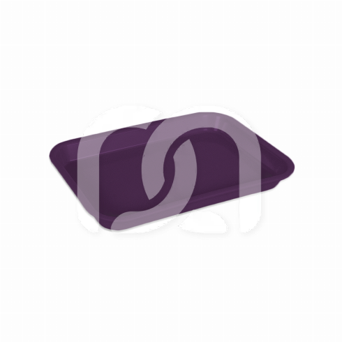 MINI-PLATEAU SANS COMPARTIMENTS MINI-PLATEAU SANS COMPARTIMENTS