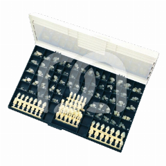 COURONNES PROVISOIRES EN POLYCARBONATE AVEC BARETTES-GUIDES (180) COURONNES PROVISOIRES EN POLYCARBONATE AVEC BARETTES-GUIDES (180)