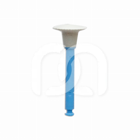 POLISHERS POLISH (12)