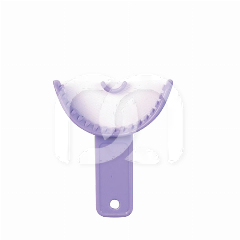 SUPRATRAYS - ANTERIOR SUPRATRAYS - ANTERIOR