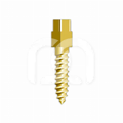 TENONS À VIS PLAQUÉS OR (12) TENONS À VIS PLAQUÉS OR (12)