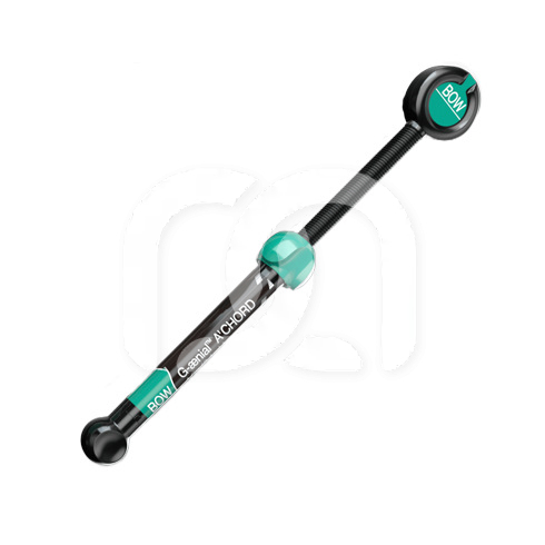 G-AENIAL A'CHORD SERINGUE (4G)