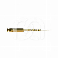PROTAPER ULTIMATE SX 19 MM (6)