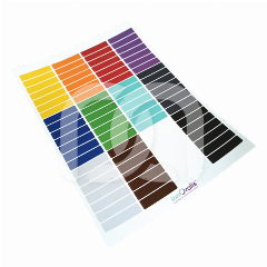 BYCOLORS - RÉASSORT DE GOMMETTES - ROND BYCOLORS - RÉASSORT DE GOMMETTES - ROND