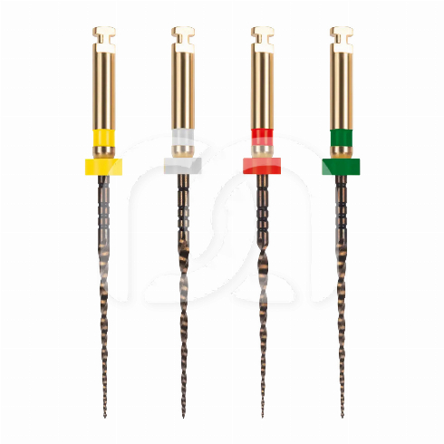 EASY-FILE FLEX ASSORTI STERIEL (4)