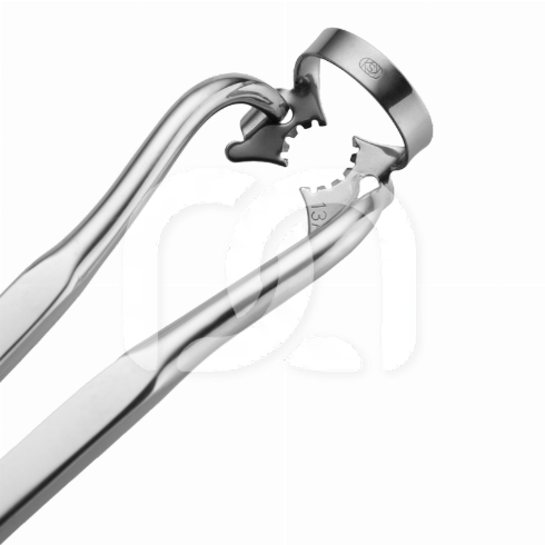 RUBBER DAM CLAMP FORCEPS RUBBER DAM CLAMP FORCEPS