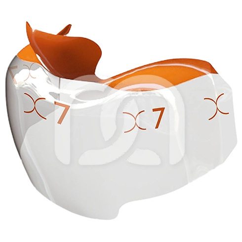 EVOLVE POSTERIOR MATRIX (25) EVOLVE POSTERIOR MATRIX (25)