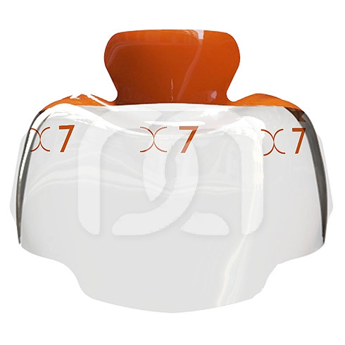 EVOLVE POSTERIOR MATRIX (25) EVOLVE POSTERIOR MATRIX (25)