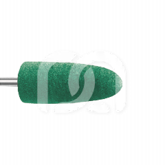 PROTHESE POLISHERS (10) PROTHESE POLISHERS (10)