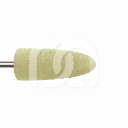 PROTHESE POLISHERS (10)