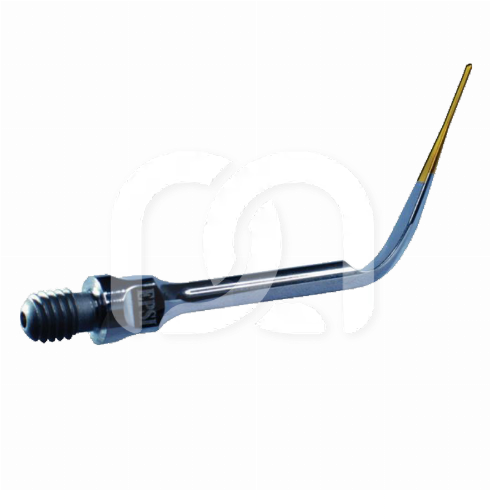 SCALERTIP SCORPION BEM
